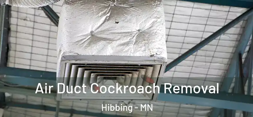  Air Duct Cockroach Removal Hibbing - MN