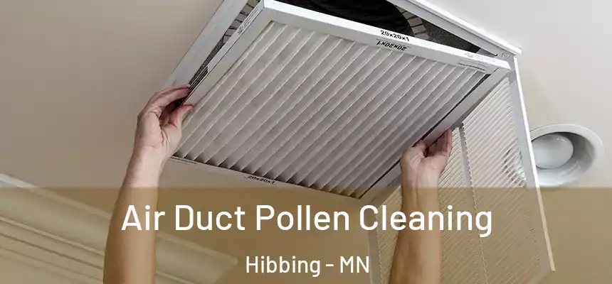  Air Duct Pollen Cleaning Hibbing - MN
