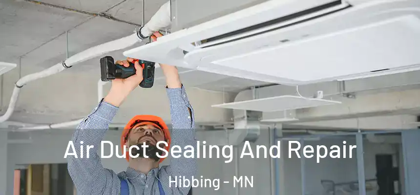  Air Duct Sealing And Repair Hibbing - MN