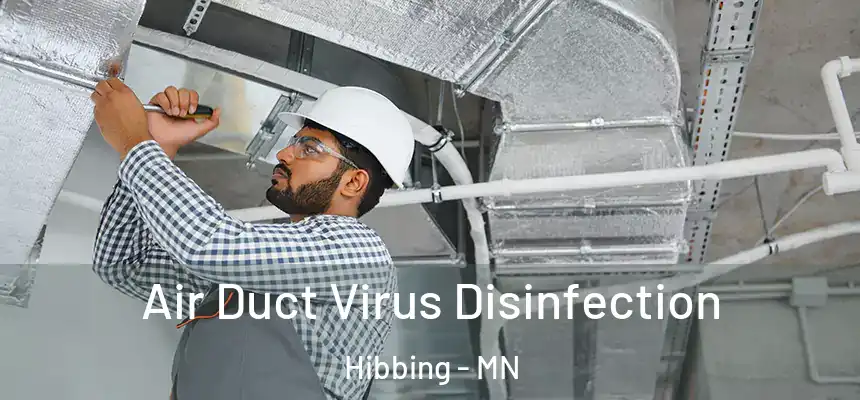  Air Duct Virus Disinfection Hibbing - MN
