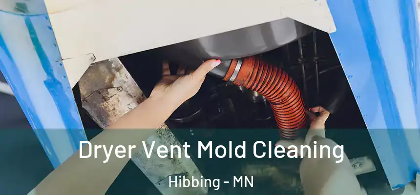  Dryer Vent Mold Cleaning Hibbing - MN