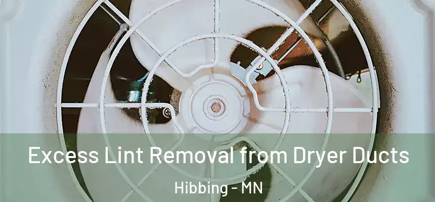  Excess Lint Removal from Dryer Ducts Hibbing - MN