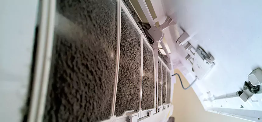 Preventive Air Duct Bacteria Removal in Hibbing