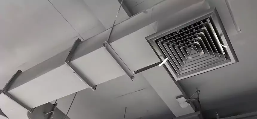 Restorative Allergy Relief Vent Cleaning – Coil, Blower & Housing Detail in Hibbing