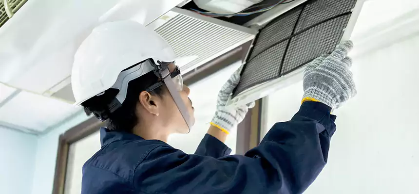 Our Mold & Mildew Removal from Air Ducts Services in Hibbing, MN