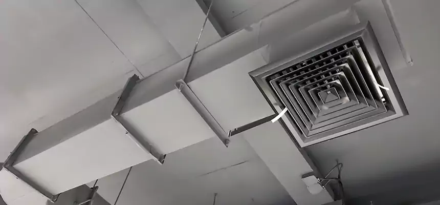 Our Pest Removal From Ducts Services in Hibbing, MN