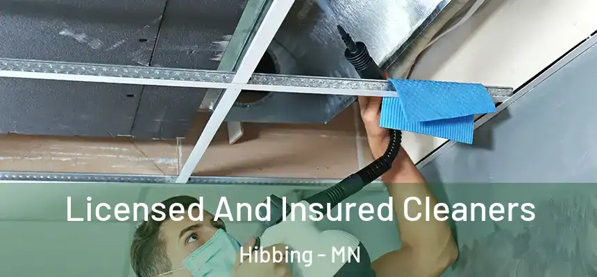  Licensed And Insured Cleaners Hibbing - MN