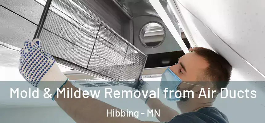  Mold & Mildew Removal from Air Ducts Hibbing - MN