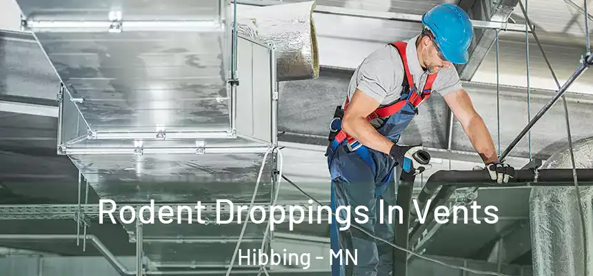  Rodent Droppings In Vents Hibbing - MN