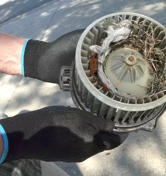 About Air Duct Mice Removal in Hibbing, MN