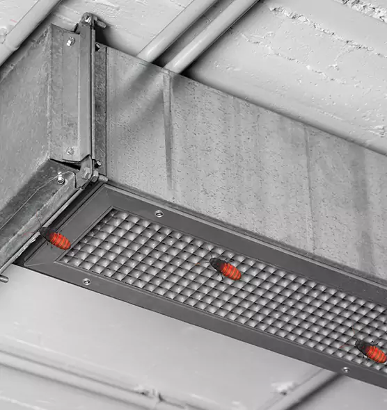 Affordable Insect Removal from Air Ducts in Hibbing, MN