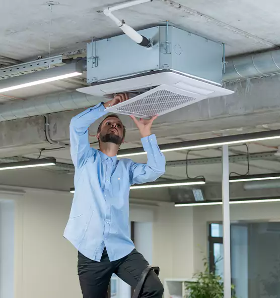 Advanced Rodent Droppings In Vents in Hibbing, MN