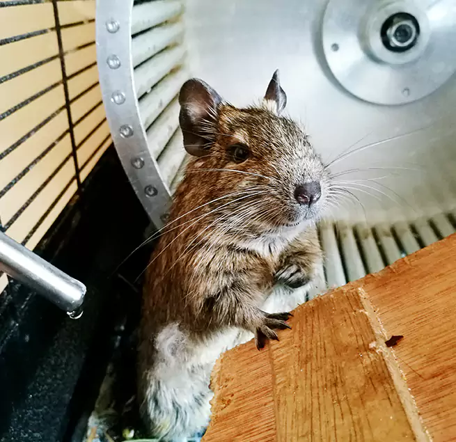 Why Homeowners & Businesses Trust Us Hibbing, MN?