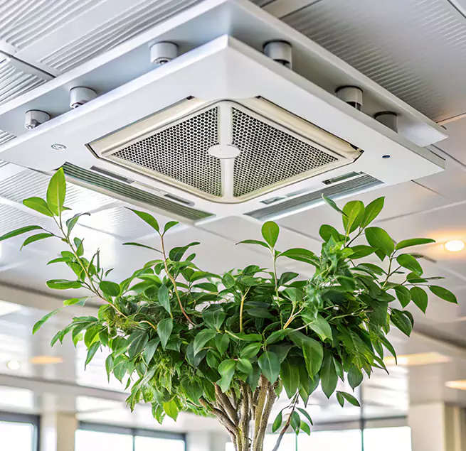 Why Homeowners & Businesses Trust Us in Hibbing, MN?